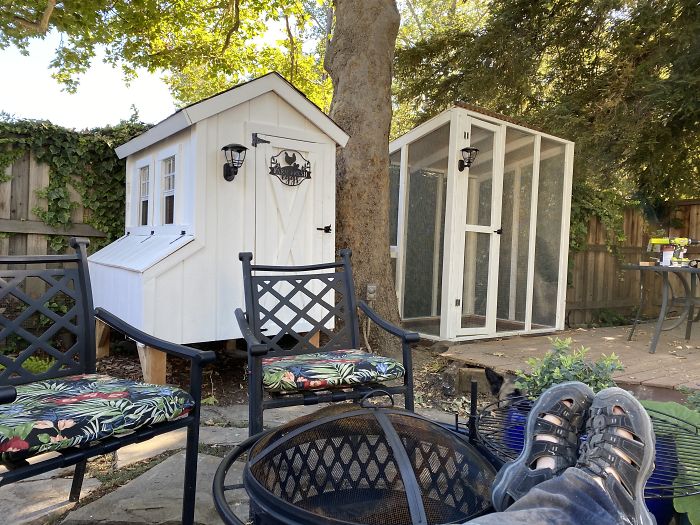 Creative-Chicken-Coops-Designs