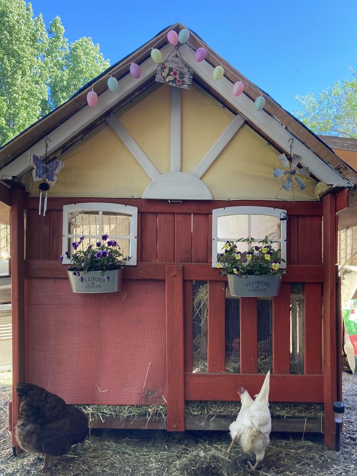 Creative-Chicken-Coops-Designs