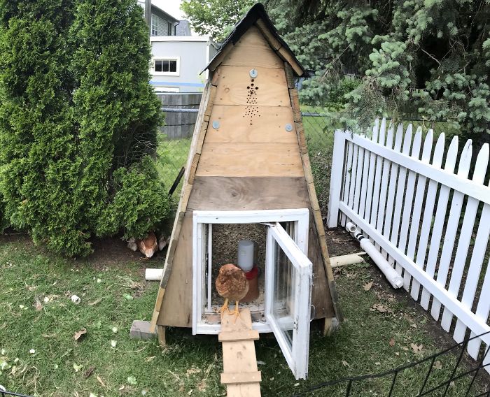 Creative-Chicken-Coops-Designs