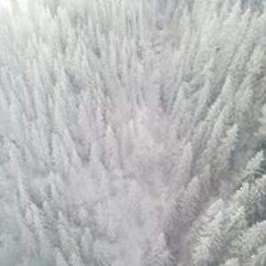 enache_vlad2007 avatar