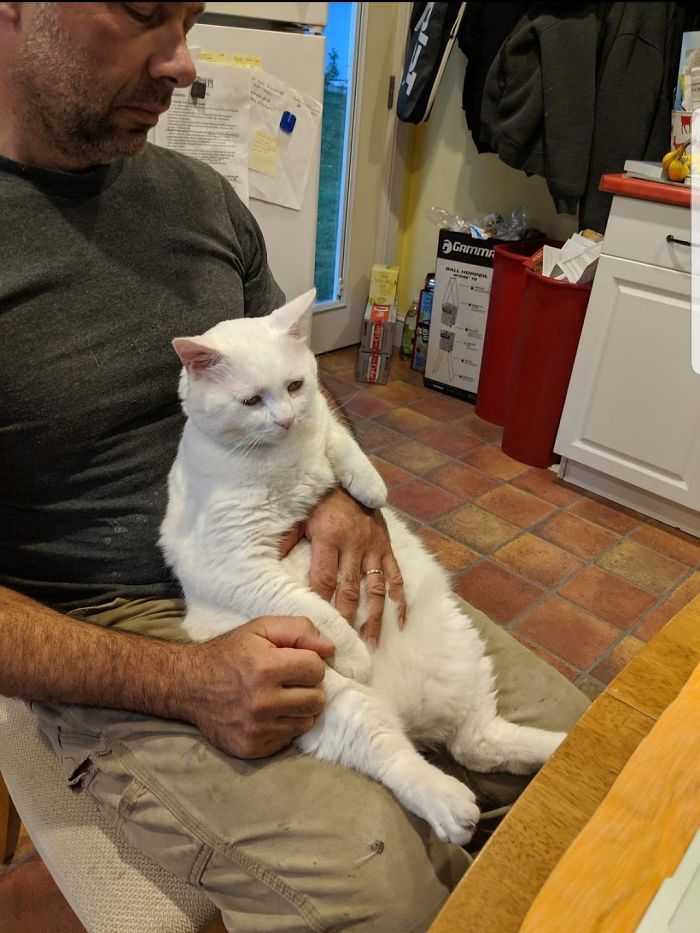 He Still Calls Him "Stupid Cat"