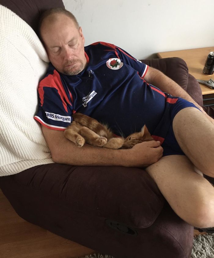 “The Only Good Cat Is A Dead Cat” - My Dad, Who Then Claimed My Rescue Kitten A Few Hours After He Arrived And Renamed Him George. They’re Now Inseparable