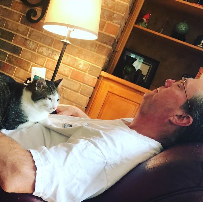 “We Are Not Getting A Cat.” (They Now Have Two And He Comes To My House Regularly To “Check On” My Two Who Lived With Them For A While)