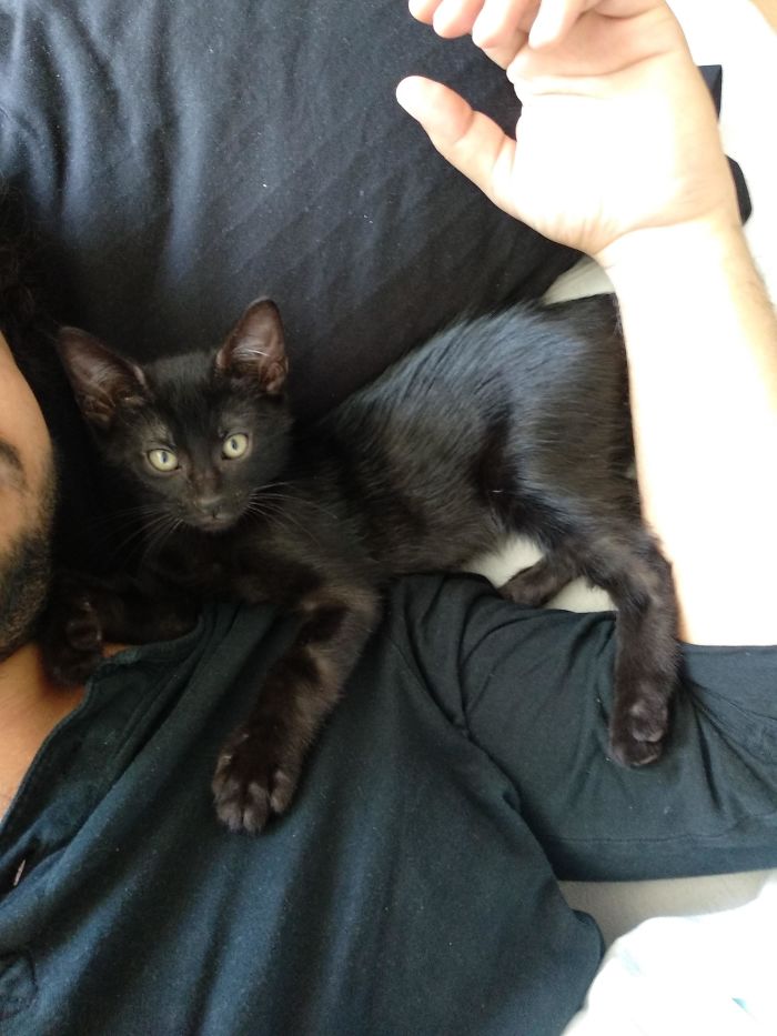 No Pets For 32 Years, I Begged The Last 2,5 For A Cat, He Said "I Just Dont Know". Not Even A Week Here, Such A Daddys Boy Already