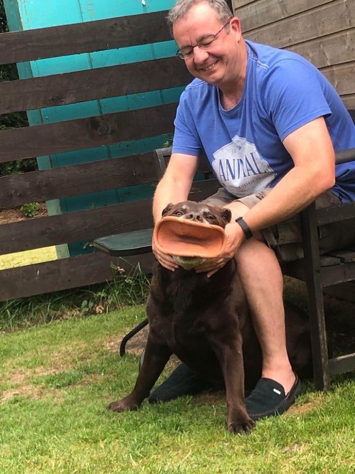 Here’s My Favourite Pic Of My Dad And Our Dog, Sid. Not Quite Sure What He’s Got In His Mouth Haha