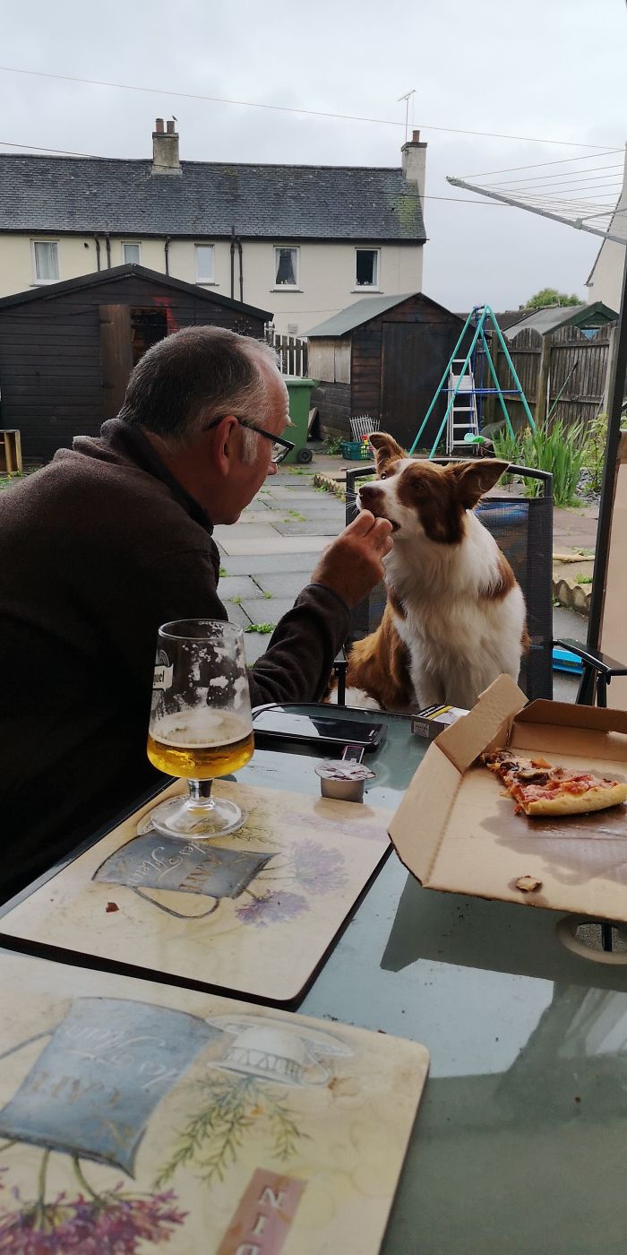 From Swearing He Would Never Have An Animal In The House To Feeding Her Pizza From The Table