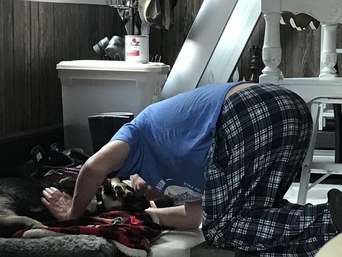 From “We Are Not Keeping Her, I’m Taking Her To The Pound Tomorrow” To Rubbing Her Belly And Putting His Face Against Hers