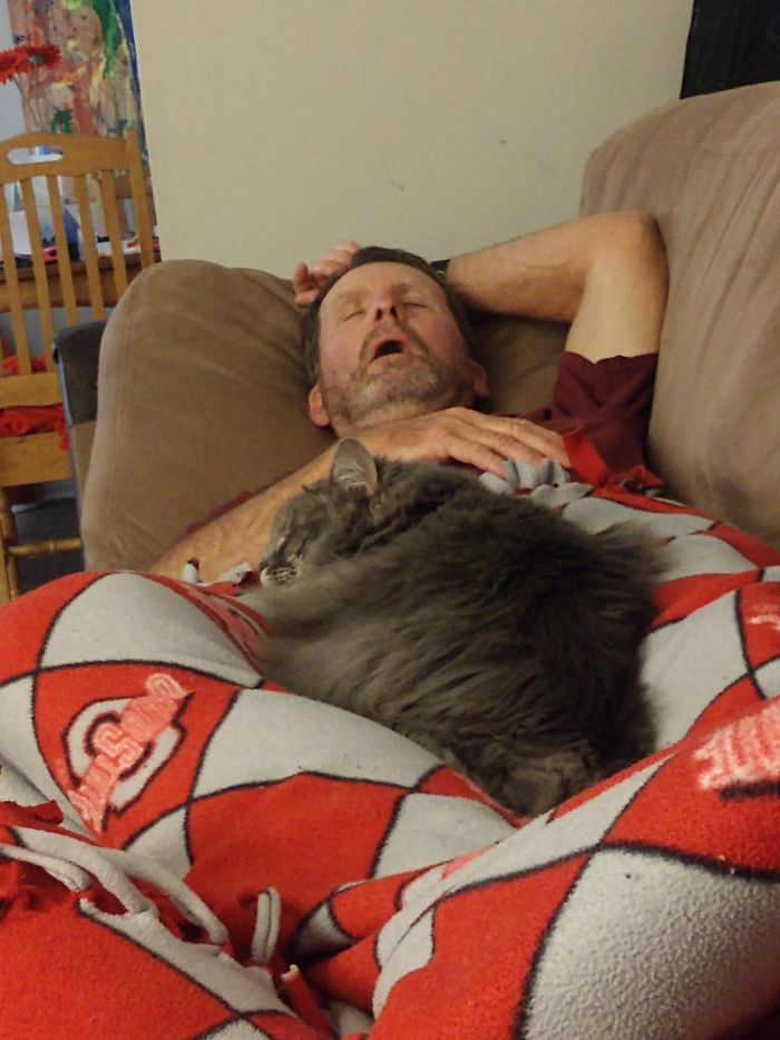 "I Hate Cats. If You Get A Cat, I'm Not Going To Visit." Now He Comes With Us On Walks And Lures Her Over With Treats