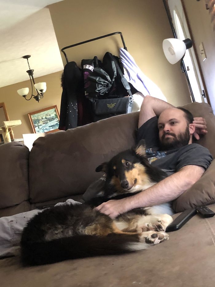 “We Don’t Need 2 Eighty Pound Monsters Running Around The House And Getting All Over The Couch” Now Bambi Is Dads Go-To Couch Buddy