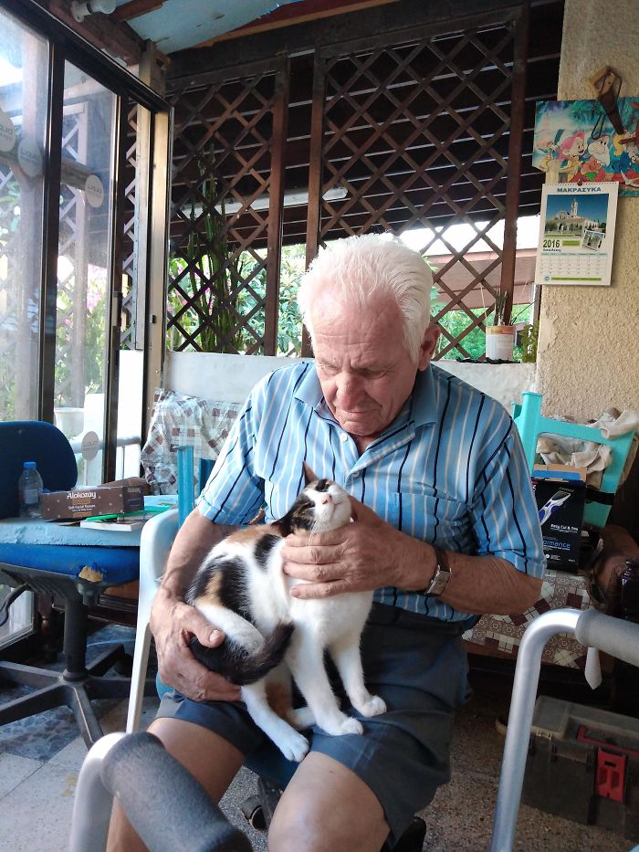 Do Grandpas Count? He Went From "Don't You Dare Bring This Disease Ridden Stray Inside" To "She Likes It Best When I Scratch Her Behind The Ears"