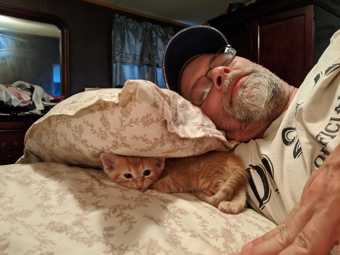 "We Have Enough Cats In This House, I'm Not Getting Another" - Dad, 2 Weeks Before Getting A Li'l Kitten