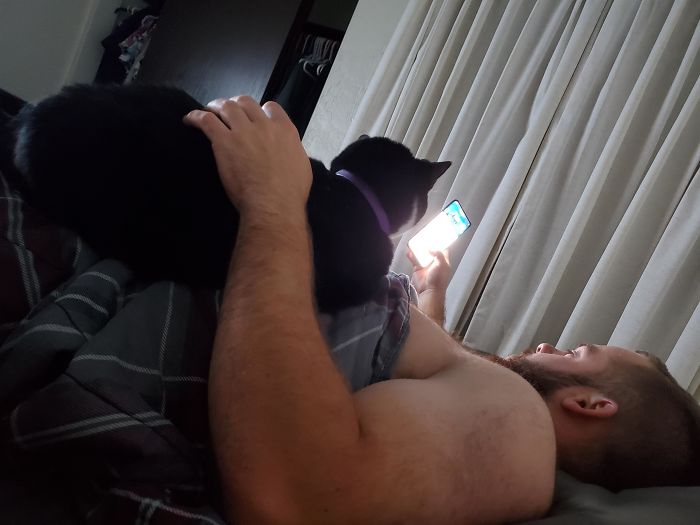 Said He Was Allergic And Hated Cats. He Spoils This Cat And Made Our Spare Room A Cat Wonderland For Her With Multiple Cat Trees. Also They Have A Routine For Night Time. Dad To My 4,5-Year-Old