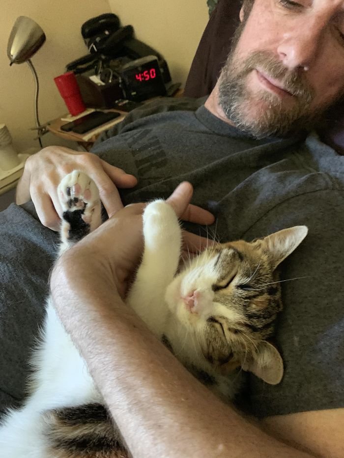 We Wanted A Tuxedo Cat For My Son And The One He Liked Was Bonded With This Cutie. Dad Said No To Two Cats But I Didn’t Listen. Dad Quickly Changed His Mind. They Snuggle Like This Every Day