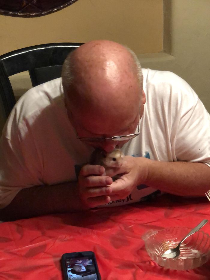 My Dad 4 Years Ago: "No Hamsters In This House!" My Dad Now: