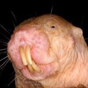 zaneta_berkyova avatar