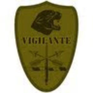 vigilantesystems avatar