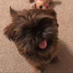 redemptionhappens avatar