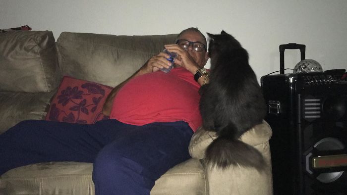 My Dad: “I Don’t Want Any Filthy Cat On My Couch”. Also Dad: “Don’t Sit There, It’s My Son Spot“. Yeah, Gustavo The Cat Is The Favorite Son