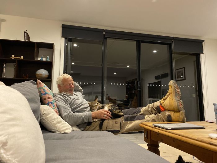 “I Hate Cats” “They’re Evil” “He Has No Concept Of Boundaries” “Did Anyone Get The Salmon For The Cats? They Don’t Like The Roast Beef One Anymore”