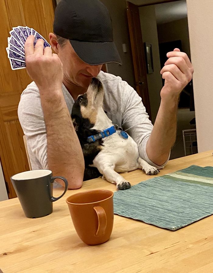 Didn’t Want A Dog. Not Really A Dog Person. Daughter Wanted A Dog. And Here We Are