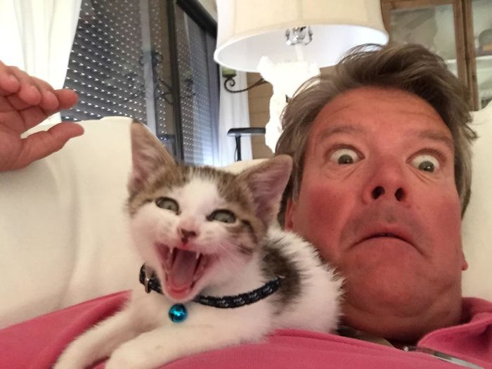 The Photos My Dad Sends Me Of The New Kitten He Doesn’t Want