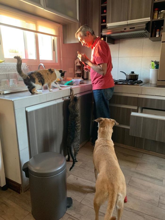 My Dad 10 Years Ago: I Don't Want Any Animals In This House! My Dad Today: