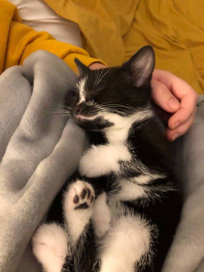 Adopted A New Friend Yesterday. This Was His First Night At His New Home