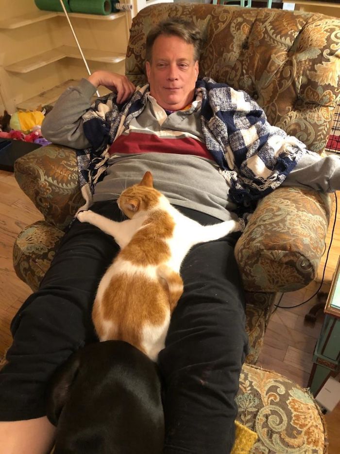 Classic Case Of “We Aren’t Keeping The Cat” - Dad