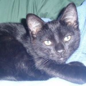 pamela_von_almen avatar