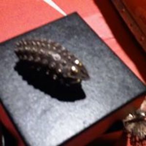 auemiliagrace avatar