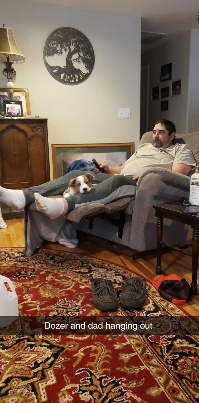 Dad Said He Didn't Want A Dog
