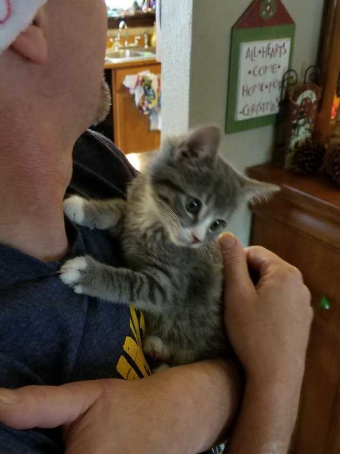 Dad's Christmas Present, Didn't Want It Till He Had It