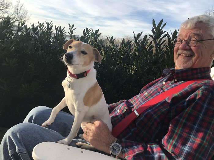 “We’re Not Getting A Dog!” Says The Man Who Now Matches His Suspenders And The Dog’s Collar