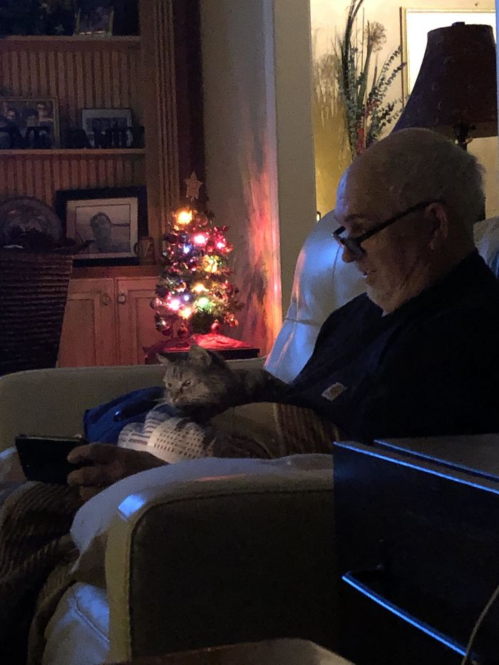 My Dad Hated Cats And Was Pissed When I Brought Her Home, But Now, 3 Years Later, He’s Showing Her Cat Videos While She Sits In His Lap. She Also Sleeps With Him Every Night