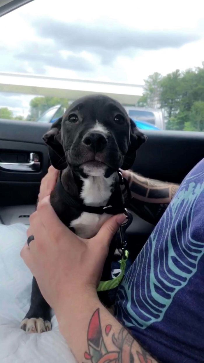 Meet Our New Baby Rescue Hippo