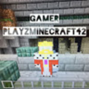 gamerplayzminecraft42 avatar