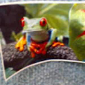 shulammiteliu avatar