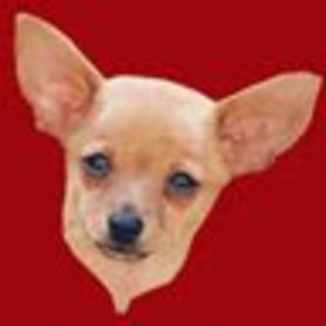 margaretnupponen avatar