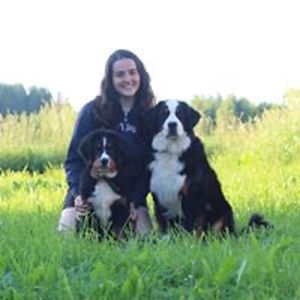 angelafilipagonalves avatar