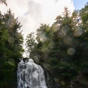 jenniferscottuk avatar