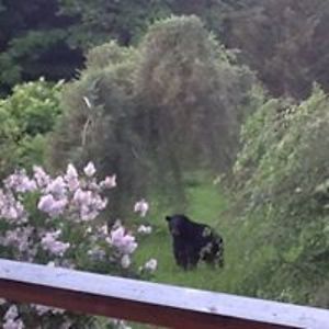 rodger_kessler avatar