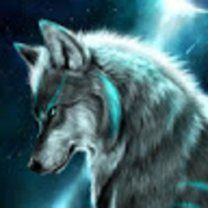 nathanneustaedter avatar