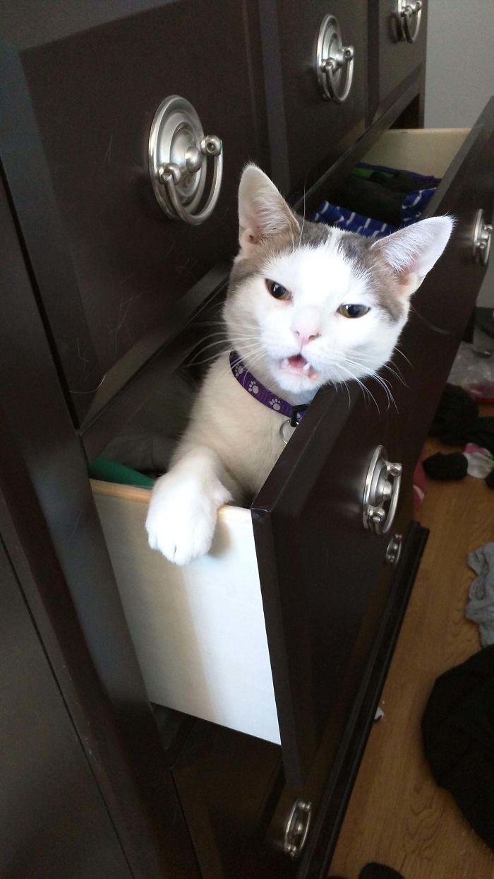 He Yelled At Me For Waking Him From His Nap. In My Clothes.