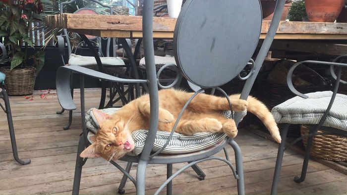 This Guy Sits In The Cafe At My Work And Yells At Me Every Time I Walk By