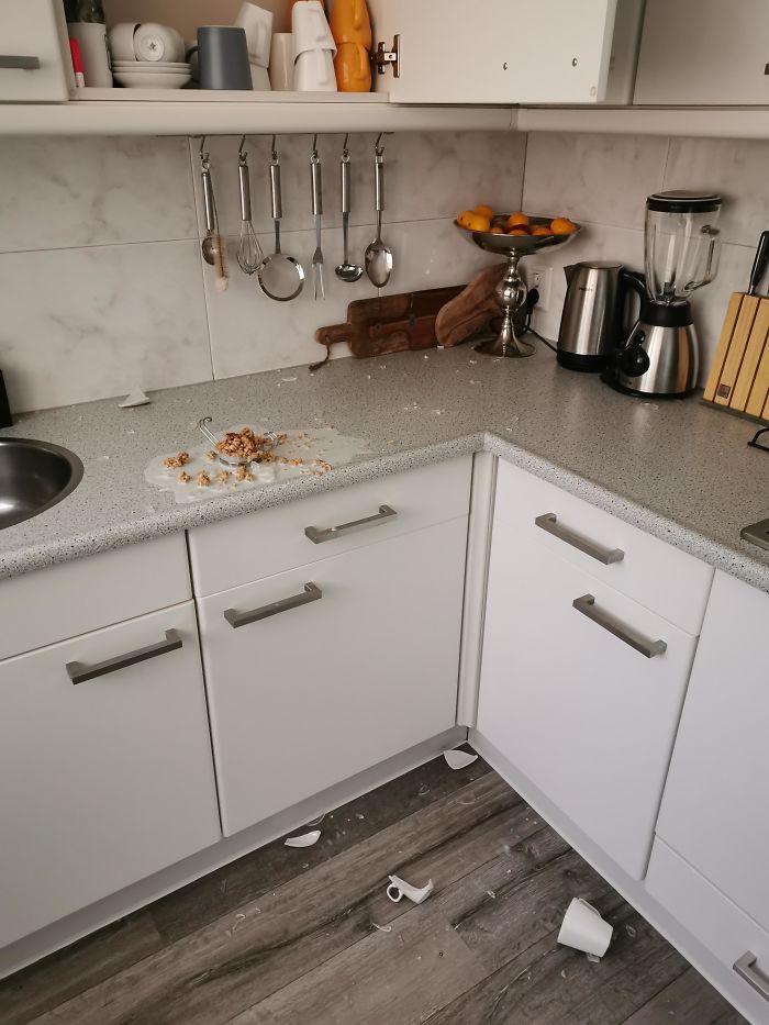 My Coffee Cup Managed To Fall Out Of The Cupboard On Top Of My Bowl Of Cereal This Morning