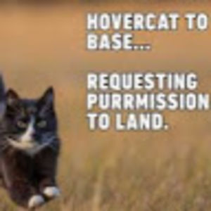 pubgmasterkitty avatar