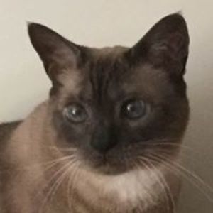 eaglecreek1054 avatar