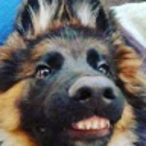 kenoshanoodle avatar