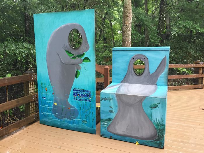 This Wheelchair-Accessible Put-Your-Face-On-The-Hole Photo-Op