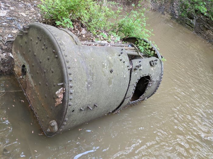 Found This Out In The Woods